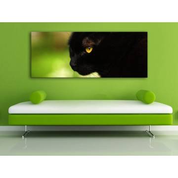 The black cat legend - fekete macska vászonkép