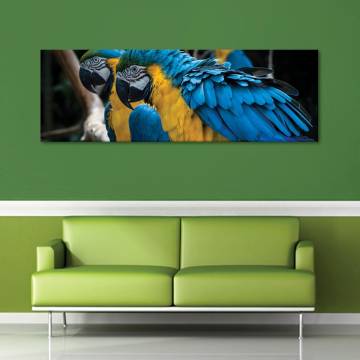 Színes papagáj vászonkép