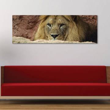 Lionking - oroszlán vászonkép