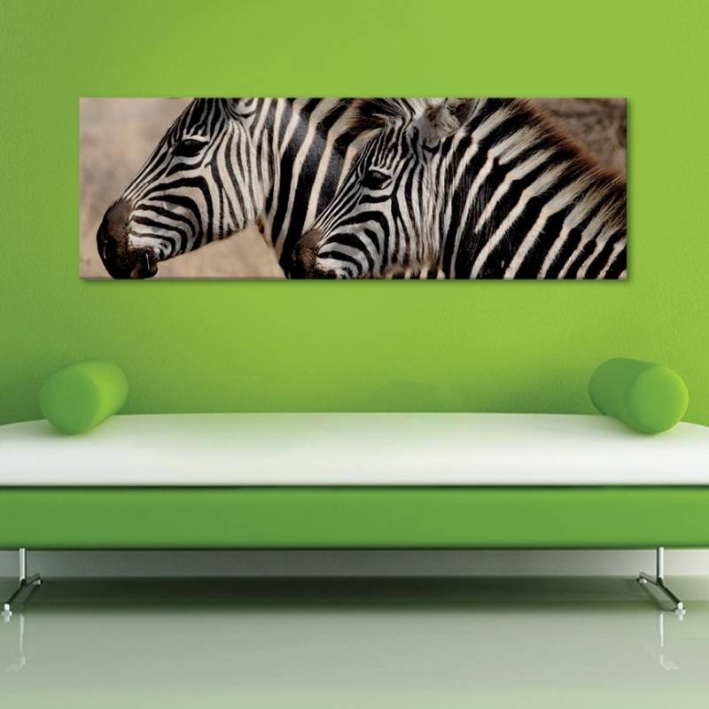 Zebra barátság vászonkép