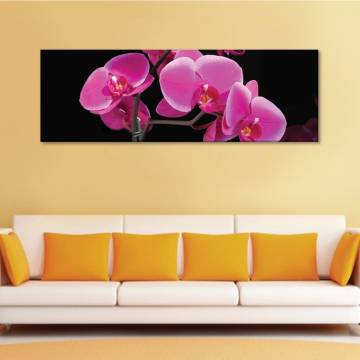 Rózsaszín orchidea vászonkép