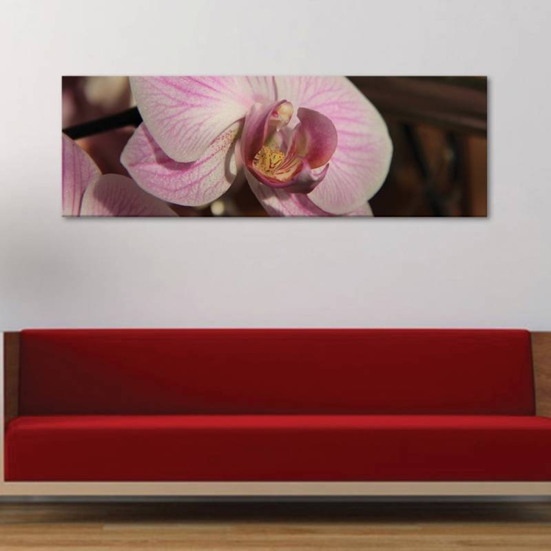 Közeli orchidea vászonkép