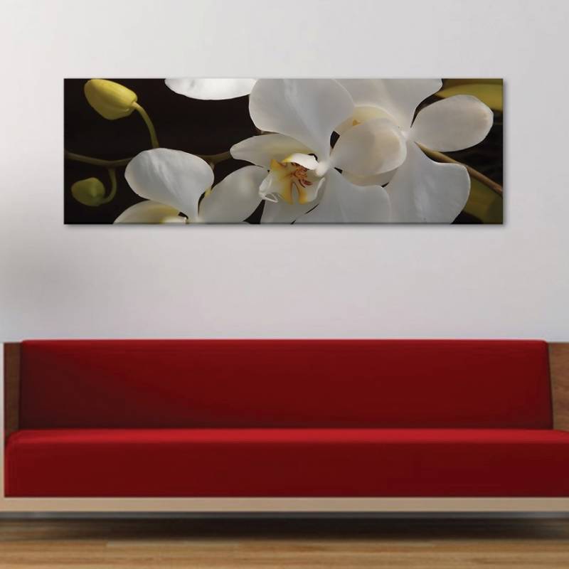 Fehér orchideák vászonkép
