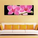 Fekete és rózsaszín orhideák vászonkép