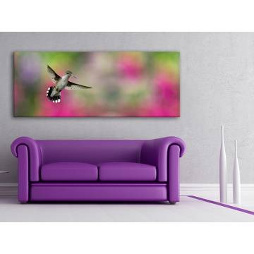 The Hummingbird - Kolibri - vászonkép
