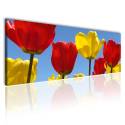 Piros és sárga tulipánok vászonkép