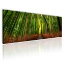 Mesés bambusz erdő vászonkép