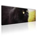 A fekete macska vászonkép