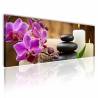 Tiszta Feng shui orchidea vászonkép