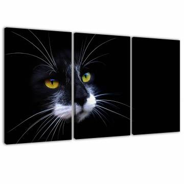 Fekete macska három részes vászonkép