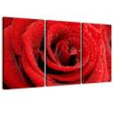 Vörös rózsa vízcseppekkel három részes vászonkép