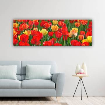 Gyönyörű tulipánok vászonkép