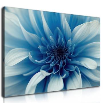 Halvány kék szirmok vászonkép