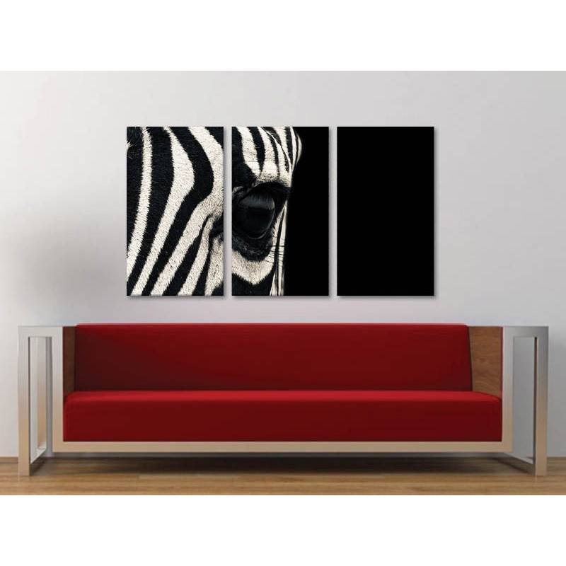 Zebra fekete-fehér három részes vászonkép